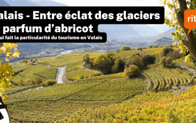 Vue panoramique des vignobles en terrasses de Valais, Suisse, avec des montagnes en arrière-plan et un ciel dégagé.