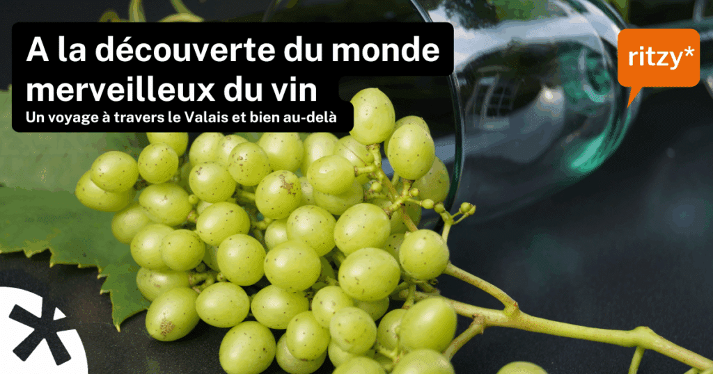 Affiche promotionnelle colorée présentant la formation "les vins valaisans dans la restauration”, avec des illustrations de verres de vin, bouteilles et éléments graphiques évoquant l’univers viticole valaisan.